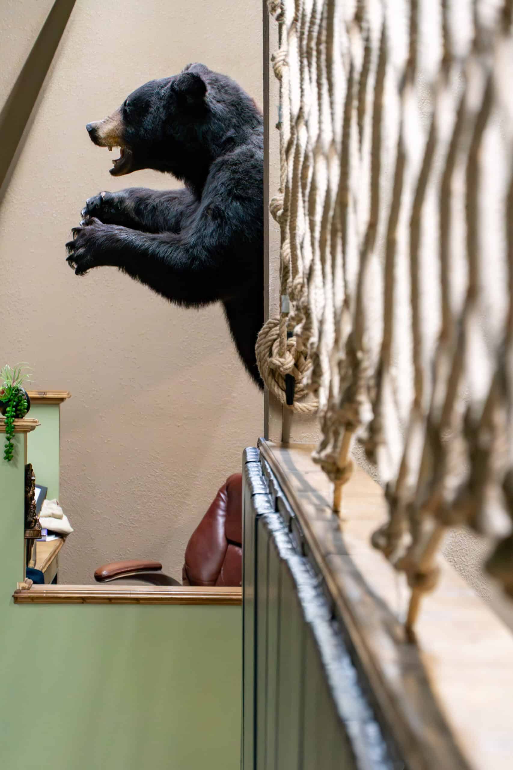 Lobby and waiting area at Longhouse jiu jitsu Grand Blanc